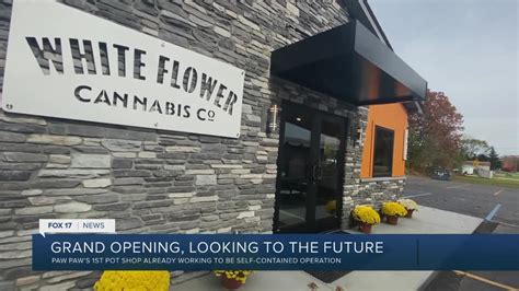 White Flower Cannabis Co Info, Menu & Deals - Weed dispensary Paw Paw, Michigan. Dispensary. Order online. Recreational. 4.9. ( 246 reviews) ·. Store details. ·. Open. today. 9:00 AM - 9:00 PM. Directions. (269) 913-4770. Email. Recommended. 370 results found. Live menu. All products. FLOWER. Wedding Cake | Pre-Packaged Ounce.. 