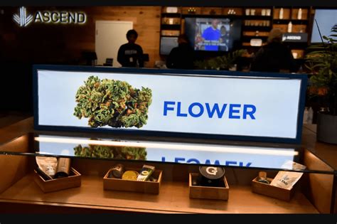 Want to buy Cannabis online? | Welcome to Apothecarium Lodi | Lodi | for medical and personal use | Pickup | Visit In-Store 200 NJ-17, Lodi, NJ 07644 | call us +1 (862) 910-2420. 