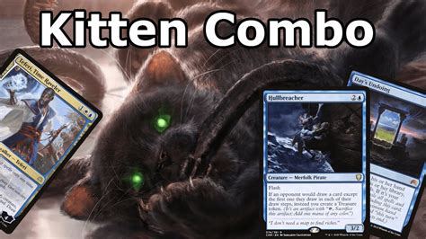 Displacer kitten combo. Things To Know About Displacer kitten combo. 