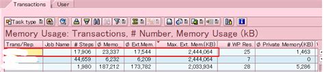 Displaying Memory Usage Statistics - help.sap.com