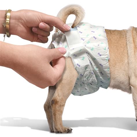 Disposable Dog Female Diapers - Amazon.com