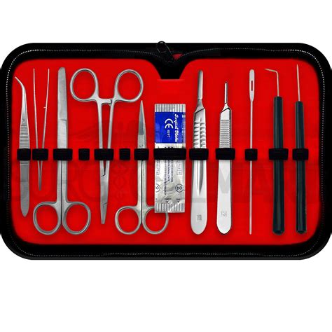 Dissecting set with names with pics.  Before reaching you, every Sep 29, 2020...