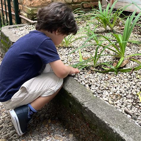 🍆 XXX Dissipame Onlyfans Leaked