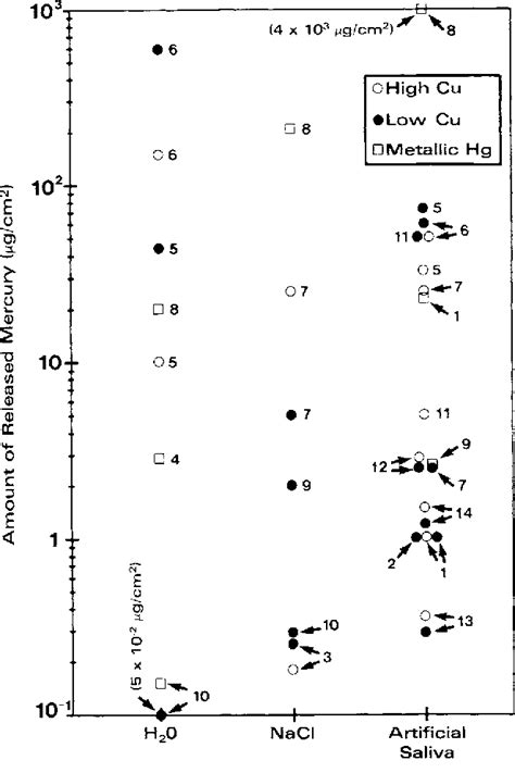 Dissolution of Mercury from Amalgam into Saline Solution