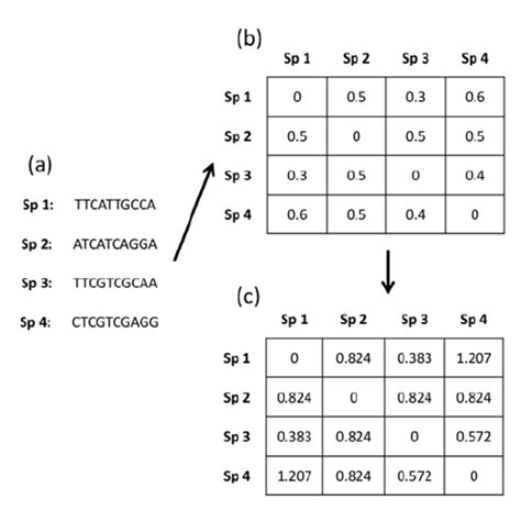 Distance matrix biology. The input is either a set of sequences, or a complete distance matrix. We generate incomplete distance matrix from input sequences or input complete distance matrix by using various missingness mechanisms. Next, we apply various imputation techniques to impute the missing entries in the incomplete distance matrix and thereby, generating ... 