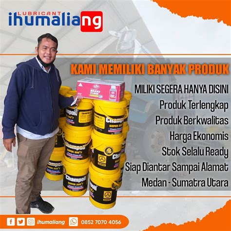 Distributor Oli Di Medan: How Old Was King Tut When He Died? image 1