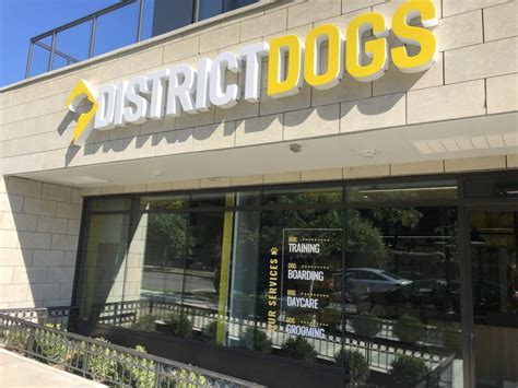 District dogs shaw. Set in the Trellis House building, our upcoming North Shaw location will be an exciting addition to our service offerings in Northwest DC. DC, we can’t get enough of you! Our passion for your pups simply can’t be contained by our two current locations, so we’re opening a third facility this fall. 