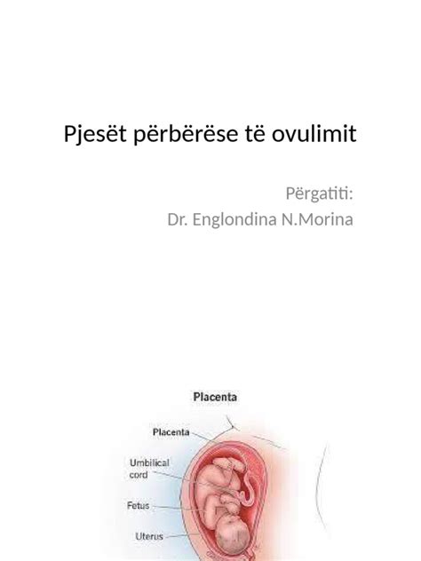 Ditet e ovulimit beba ime