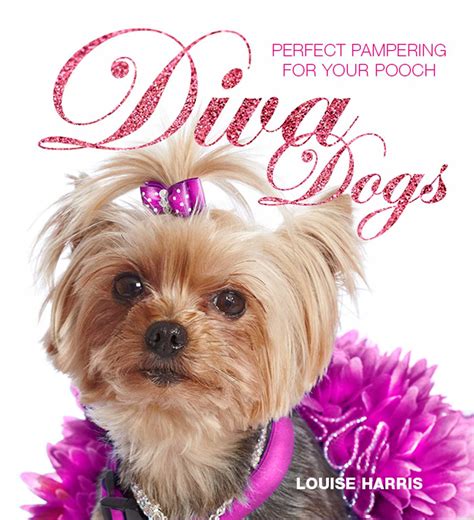 Diva dog. The master pet groomers at Diva Dogs Day Spa in Myrtle Beach SC has several years of experience, using gentle animal handling techniques to make the entire process relaxing and easy going. Diva Dogs Day Spa in Myrtle Beach SC use a range of fur baby grooming packages for your mini, midi, maxi or mighty sized … 