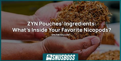 Dive Into the World of ZYN Pouches: Uncover the Ingredients Behind the Buzz