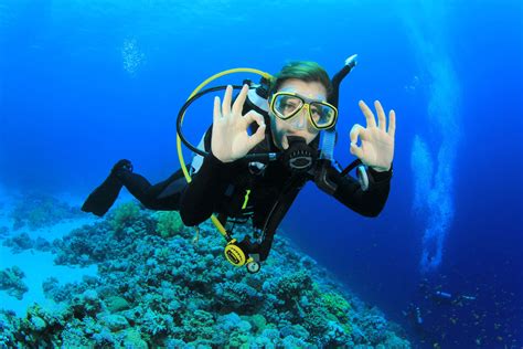 Dive below. Below is a list of the most common scuba diving jobs you can get, from being a PADI Instructor or travel blogger to more extreme scuba diving jobs, such as underwater investigation or golf ball diving! Most of these scuba diving jobs will require a Divemaster or Instructor certification. Become a PADI Professional, and you’ll always have a ... 