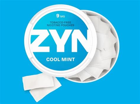 Dive into the World of Nicotine in ZYN: An Exploration of Benefits and Usage