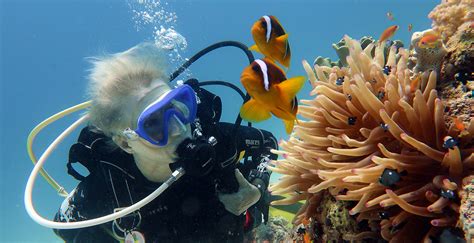 Dive the maldives complete guide to diving and snorkeling. - Asterix el cielo se nos cae encima édition en espagnol.