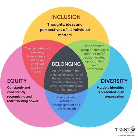 Diversity And Inclusion Diagram