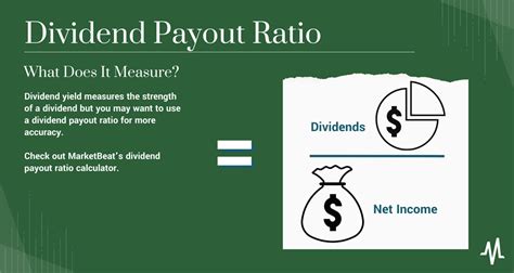The company's dividend payout ratio is roughly 