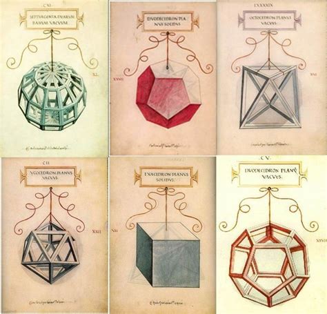 Divina proporcion, la   las formas geometricas. - Ap environmental science textbook miller 17th edition.