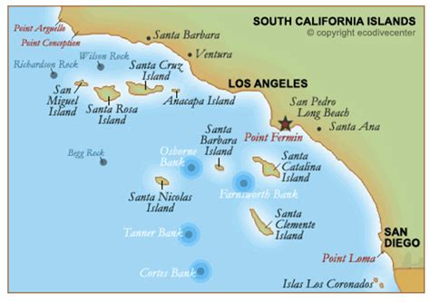 Diving and snorkeling guide to californias central coast including southern monterey county san luis obispo. - Matching supply with demand cachon instructors manual.