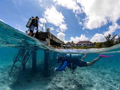 Diving and snorkeling guide to grand cayman island including little. - L' eroe e il suo doppio.