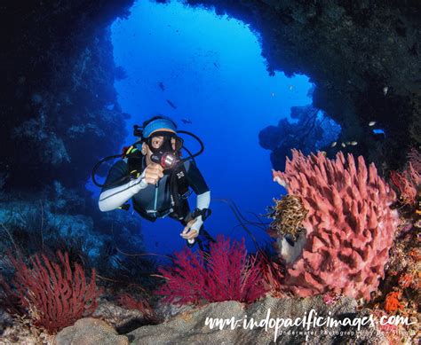 Diving guide to papua new guinea. - The student s writing guide for the arts and social.