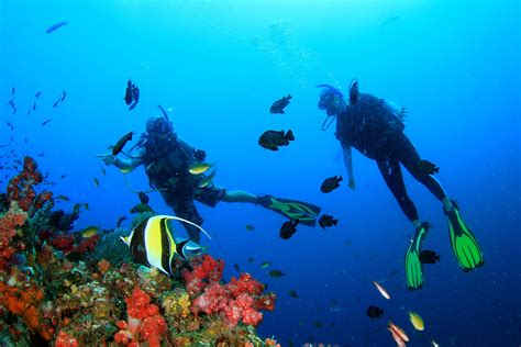 Diving in the Philippines