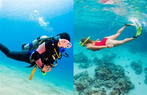 Diving vs Snorkelling - PADI Blog