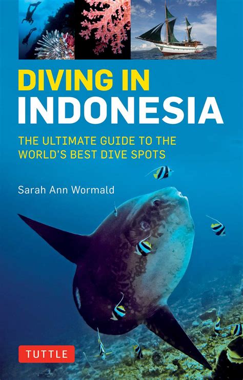 Read Online Diving In Indonesia The Ultimate Guide To The Worlds Best Dive Spots Bali Komodo Sulawesi Papua And More By Sarah Ann Wormald