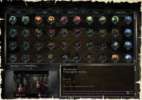 Divinity 2 skill books. Don't miss out on crafted skill books. Iirc all the elemental skill books can be combined with non-elemental skill books. E.g. combine one warfare + one hydrosophist book and you get, IMHO, a better healing spell than the pure hydrosophist ones. At the end of act 1 you probably won't be broke anymore. 