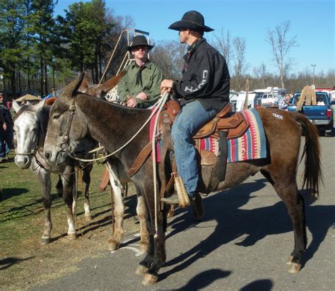 Dixie horse auction troutman nc. Dixie Horse Auction, Troutman, North Carolina. 16,948 likes · 479 talking about this · 2,062 were here. Largest Horse, Mule, Tack, Equipment, and Carriage Auction in the Southeast Dixie Horse Auction | Troutman NC 