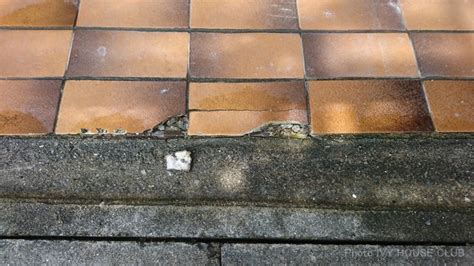 Diy補修 100均のセメントで店頭前の割れたタイルの穴を埋めてみました Ivy House
