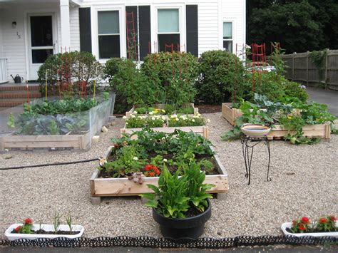 Diy Front Yard Vegetable Garden