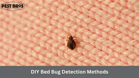 Diy bug detector.  In this article, we will guide you through Bed bug detection is a c...