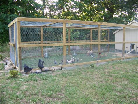 Diy chicken run australia