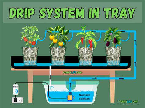 Diy hydroponic drip system.  In .  Drip systems are so popular there's a dsign ...