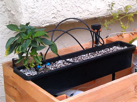 Diy hydroponic drip system. .  ...