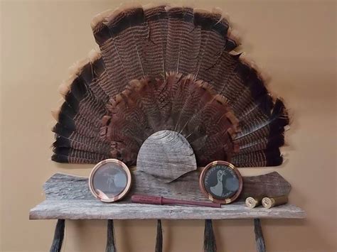 Diy turkey fan mount. #mccoyseuromounts #turkeyfan #turkeyhunting #turkeymountI had a Jake fan i wanted to mount for my nephew so i Built this plaque out of barn wood i hope you ... 