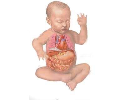 Diyafram hernisi Happy Mom Forum.