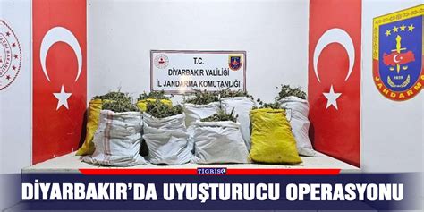Diyarbakır uyuşturucu operasyonu 2016