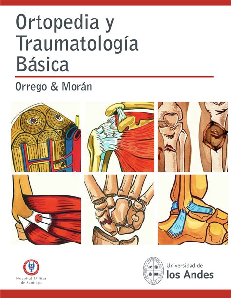 Dizionario di terminologia ortopedica e traumatologia. - 19811994 yamaha virago xv5351100 manuale di riparazione.