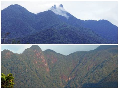 Djadi  Leaks [SEX VIDEO] 😈 216 Pics