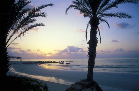 Djerba island tunisia. Things To Know About Djerba island tunisia. 