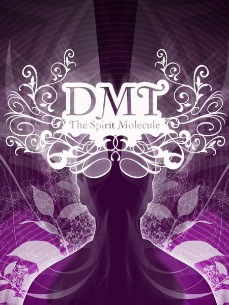 For The Spiritual – DMT: The Spirit Molecule (Screenshot via YouTube) – Joe Rogan narrates this documentary, which is based on Rick Strassman’s best-selling book of the same name, and provides information on the intense effects of DMT experiences. Narrated by Joe Rogan, this psychedelic documentary is based on Rick ….