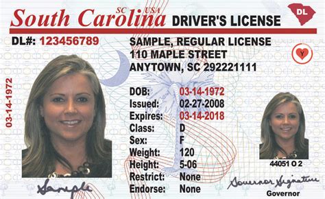 SC DMV Online. Menu. Navigation. Driver Services. Driver's License.