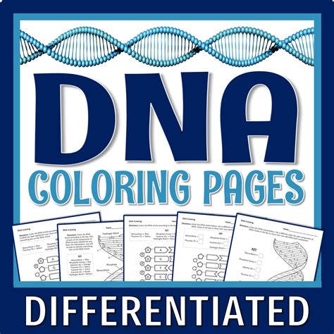 Dna Coloring Shee