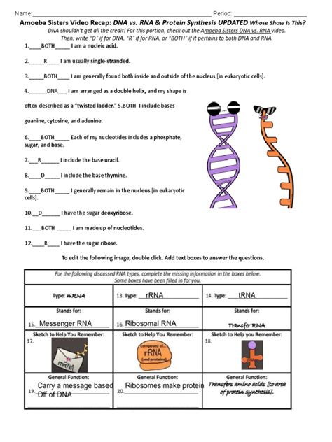 Dna and Replication Worksheet Dna Rna and Replication Worksheet Answer