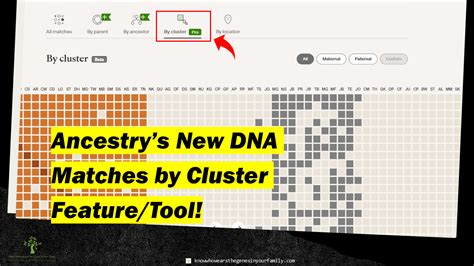Dna clustering ancestry.  Genetic analysis reveals a shocking truth: he ca...