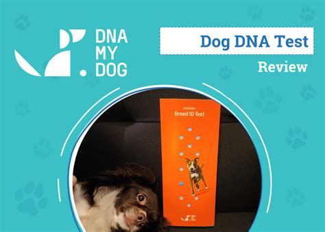 Dna my dog