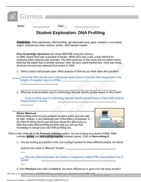 Student Exploration: DNA Profiling Vocabulary : DNA polymerase, DNA profiling, gel electrophoresis, gene, mutation, non-coding region, polymerase chain reaction, primer, short tandem repeat Prior Knowledge Questions (Do these BEFORE using the Gizmo.) In 1985, Darryl Hunt was convicted of murder. While Hunt was in jail, a new method for analyzing DNA evidence was invented. The DNA evidence on .... 