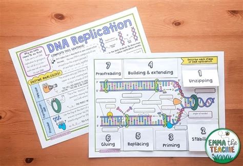 Dna replication cut out activity.  I present to you: DNA Replication Doodl...