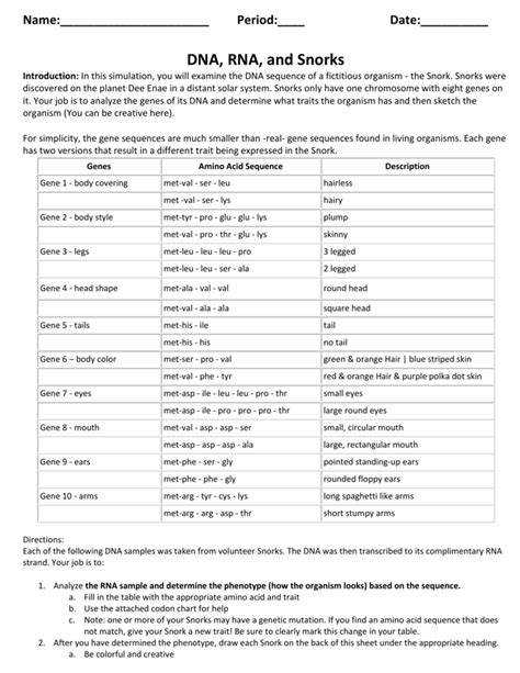 Dna rna and snorks answers