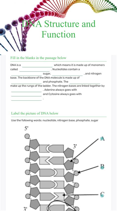 Dna structure and function worksheet ap biology.  Jan is a joyous spring frock, ded...